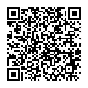 MS-SQL-Server 2005 Kompakt Schulung