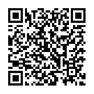 MS-SQL-Server Reporting Services 2005 Grundlagen Schulung