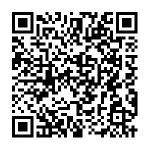 Train the Trainer II, Trainerpers�nlichkeit Schulung