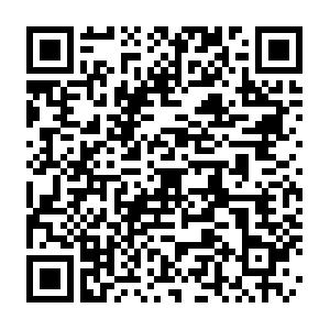 Testverfahren, Testdaten, Testmanagement Schulung