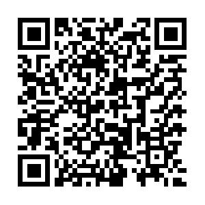 TYPO3 f�r Web-Autoren, Grundlagen Schulung