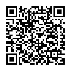 TYPO3 f�r Webadministratoren, Aufbau Schulung