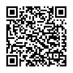 XML und Visual Basic Schulung