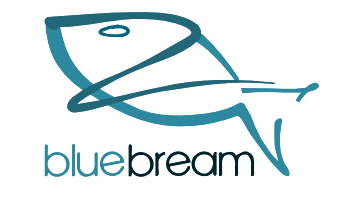 BlueBream - Einstieg und Grundlagen Logo